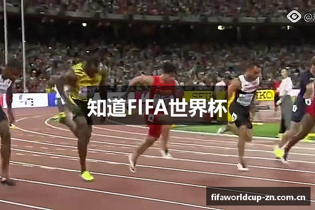 知道FIFA世界杯